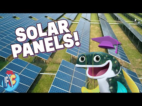 How Do Solar Panels Turn Sunlight Into Electricity?