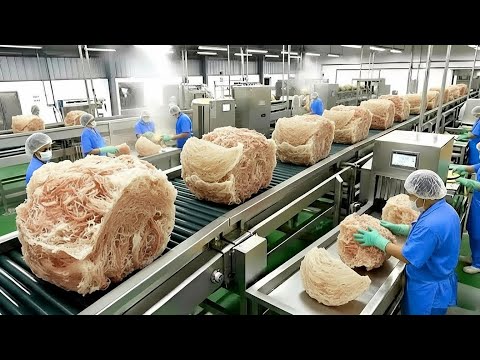 How are the most expensive bird's nests harvested and processed in factories? - Bird's Nest Farm