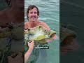 Saving a Sea Turtle - Ozzy Man Reviews