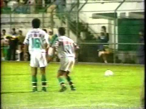 Fluminense 1 x 2 Guarani - Campeonato Brasileiro 1993