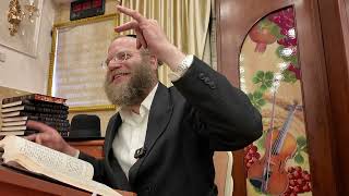 פרשת אמור תשפ"ו | הרב צבי חלמיש שליט"א | אור החיים