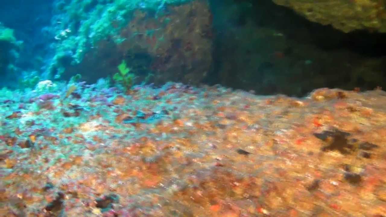 Blue Hole Malta Gozo — diving