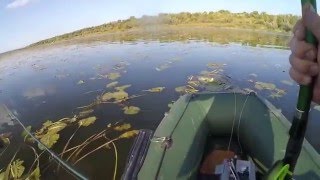 Ловля щуки в николаевской области 2020