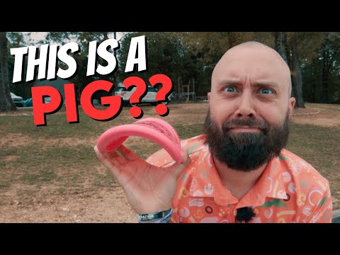 Floppiest Pig Disc Golf Has Seen?!?! Soft R-Pro Pig Review!!
