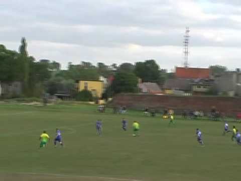 Radzynianka 2-4 ROLKO