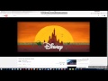 Disney Enterprises Inc