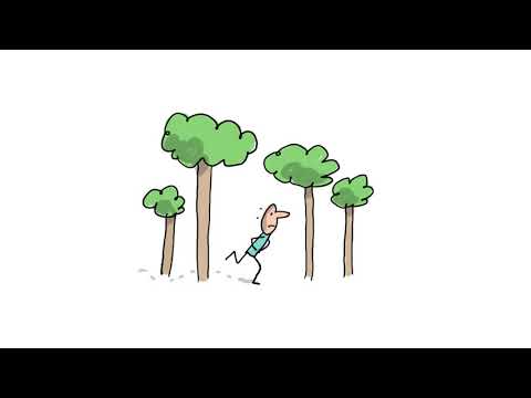 Pourquoi y'a-t-il une journée mondiale des toilettes ? - 1 jour, 1 question