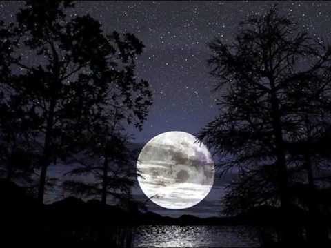 Vincent (Starry Starry Night) - Don McLean