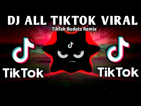 DJ ARIZONA B. X TEAM BUNAL BUDOTS MUSHUP (TIKTOK BUDOTS REMIX) 2025