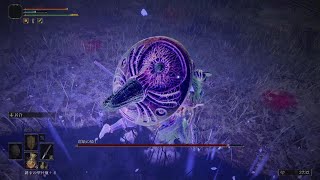 ELDEN RING　坩堝の騎士