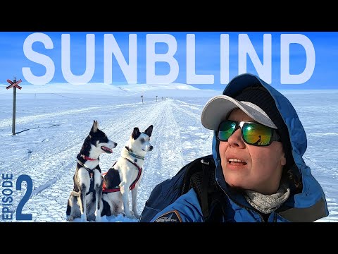 Eye trouble on 26-day solo winter hike with 2 dogs // Ep 2 of Skiing the Kungsleden