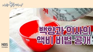 [나는농부다 213회] 백향과가 아파요~! 백향과 의사 윤수씨