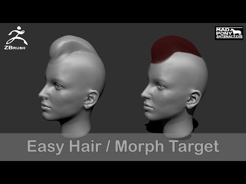 Zbrush - Easy Hair with Morph Targets and Fibermesh