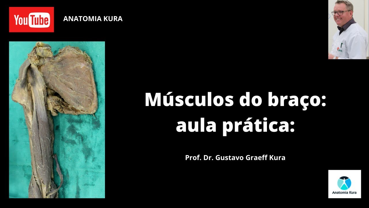 Músculos do braço: aula prática