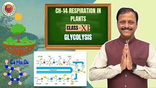 Glycolysis in Detail | Ch-14 Respiration in Plants | Class 11 | CBSE | NEET | Bio by Gulab Sir