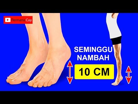download lagu mp3 mp4 Tips Menambah Tinggi Badan Anak, download lagu Tips Menambah Tinggi Badan Anak gratis, unduh video klip Tips Menambah Tinggi Badan Anak