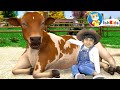 Old Macdonald Had A Farm | Baby Songs | Nursery Rhymes | IshKids Baby Songs