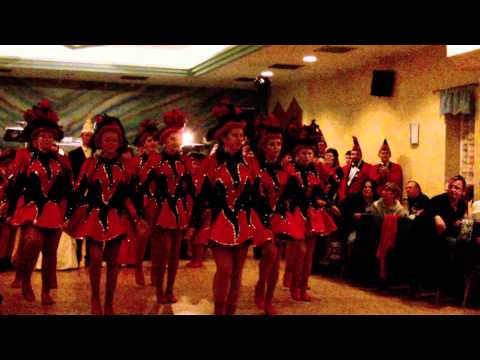 FG Seelania - Prinzengarde 2011/12