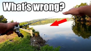 I Was Bass Fishing When I Noticed THIS! This Changes Things...