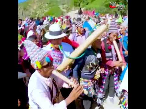 SAN MARCOS 2025 - "Macha Serenay"2p.Pinkillo.#shortsviral  #almaproduccionesbolivia #cultura #musica