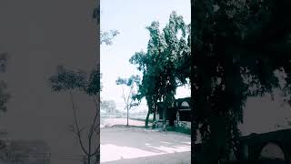 Download lagu #banglasong #djso #djak999k #dj #prem_sikhaiya_chaira_jaiba #djtiktok #music #music hht4yng mp3 Download lagu #banglasong #djso #djak999k #dj #prem_sikhaiya_chaira_jaiba #djtiktok #music #music hht4yng mp3