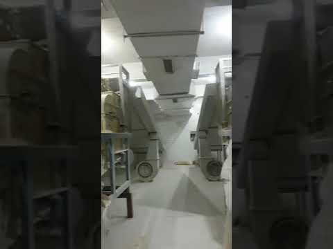 Dehydrated red onion powder, packaging size: 25 kg