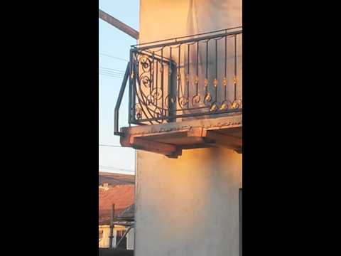 Alin bosu de la.cergau mare