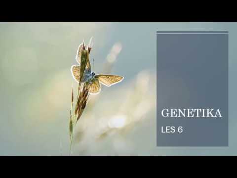 LEWENSWETENSKAP GRAAD 12: 5 Mei 2020 - periode 7 (05127)