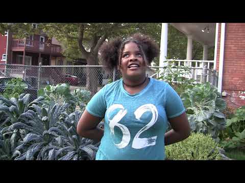 Dream Seekers Youth -- AIHFS