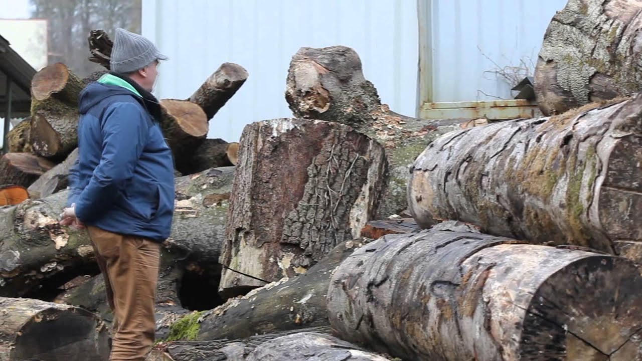 Company video CELTIC COMMEMORATIONS