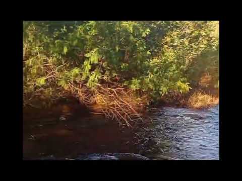Villa San Pedro comuna de Pucón #chile #viral #araucanía 