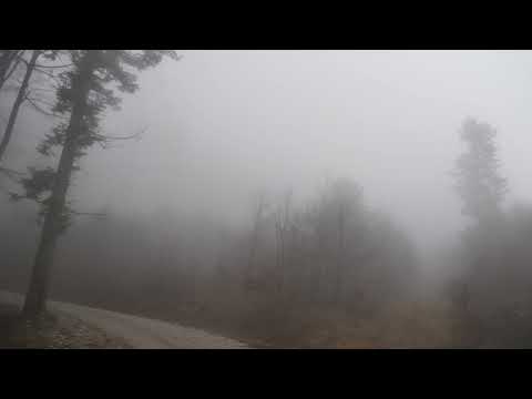 nearn0where x Caater ft. Hannah – Sind Otsima Jään |  Drum and Bass Remix