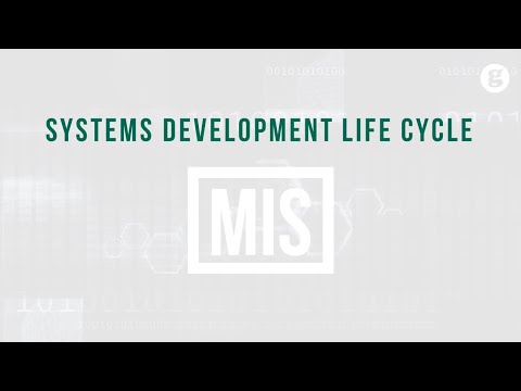 Information Systems in Life