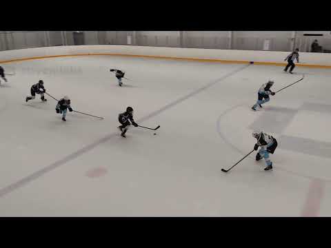 BLUES II - Pelicans Turkoosi II  11.12.2021