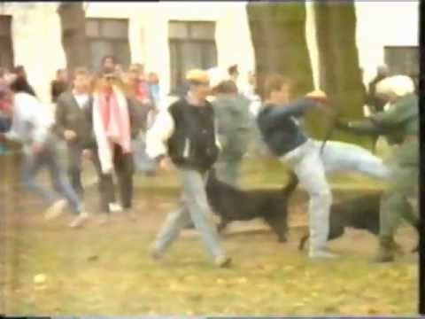 1991-03-16 | FC Hansa Rostock - FC Berlin 3:2 | Sonderzug - Randale