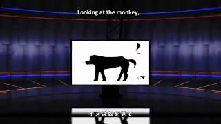 Cover art for Brainwashing technique of Monkey Dance