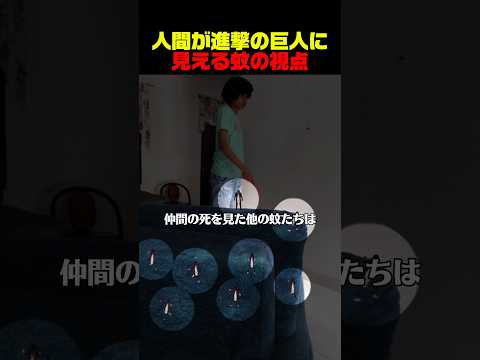 人間が進撃の巨人に見える蚊の視点