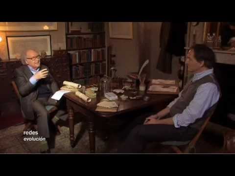 Redes 92: Los orígenes de las especies - evolución