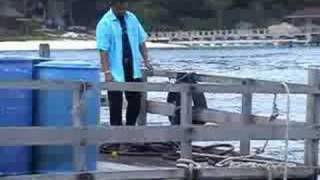 Download lagu Cikgu Sulizi - Kita Tak Lagi Bertemu mp3