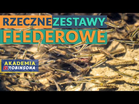 Jak zbudować zestawy feederowe na rzekę? (prostak, skrętka, helikopter) AKADEMIAROBINSONA#36