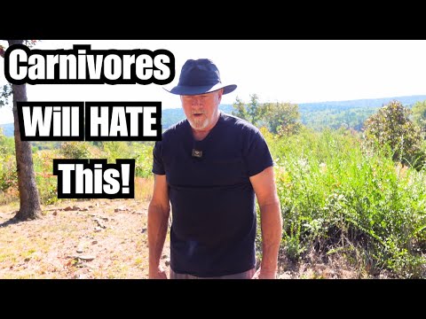 12 Months Carnivore, 18 Months Later — My Honest Results