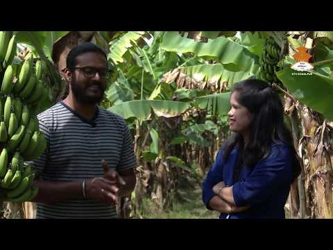 KRISI SAMBAD 20761209