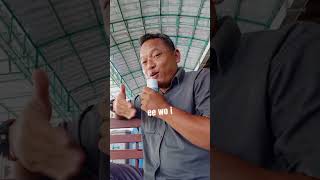 Download lagu pokok'e wok wok wok eeewok wok.. mp3 Download lagu pokok'e wok wok wok eeewok wok.. mp3