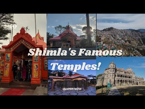 Exploring Shimla's Famous Temples & Must-Visit Places! 🏔️🛕Himachal Vlog 2