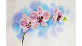 Drawing lessons. How to draw an orchid, whatercolour flower