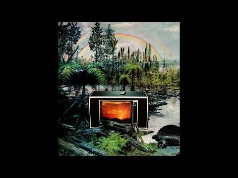 Birds Of Mind - Robot Heart 10 Year Anniversary - Burning Man 2017