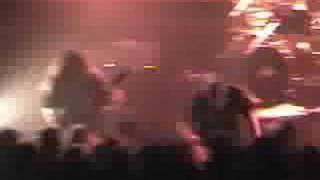 Skinless-Tampon Lollipops