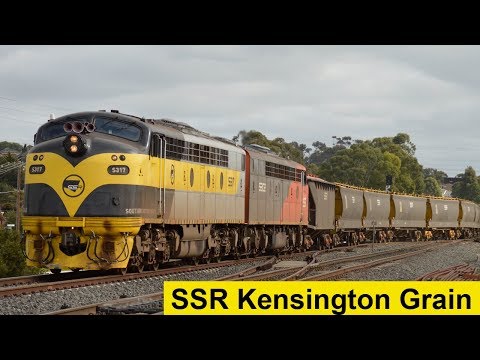 Antiques Roadshow! Chasing the SSR Kensington Grain Train with S317 & 302