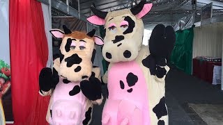 Miniatura do vídeo