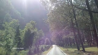 preview picture of video 'Riding Off Road With Pillion Rider | Asia`s tallest tree | Travel With Himalaya Pass'